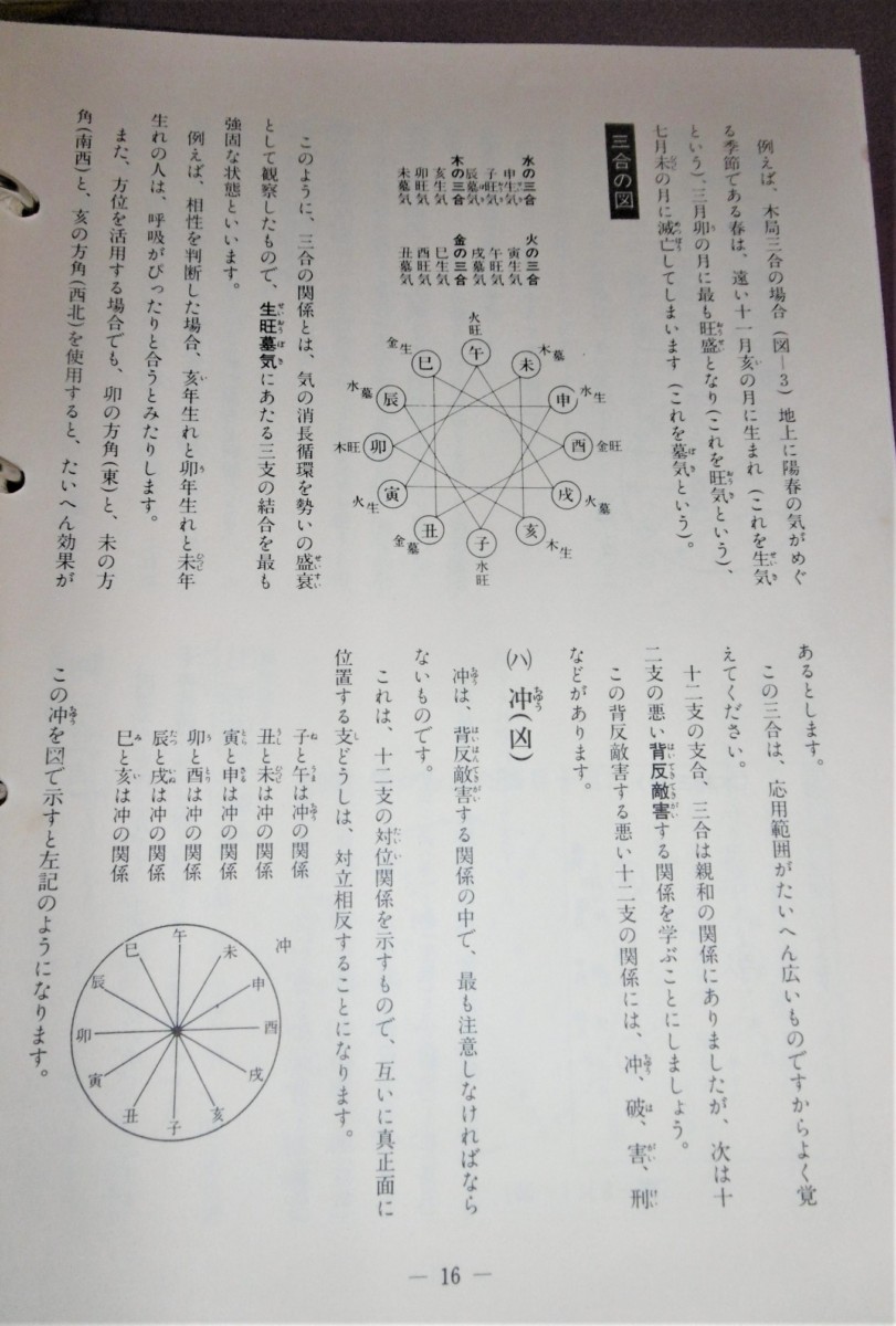 P1010153 (2)