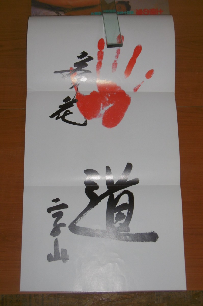 P1010251 (2)
