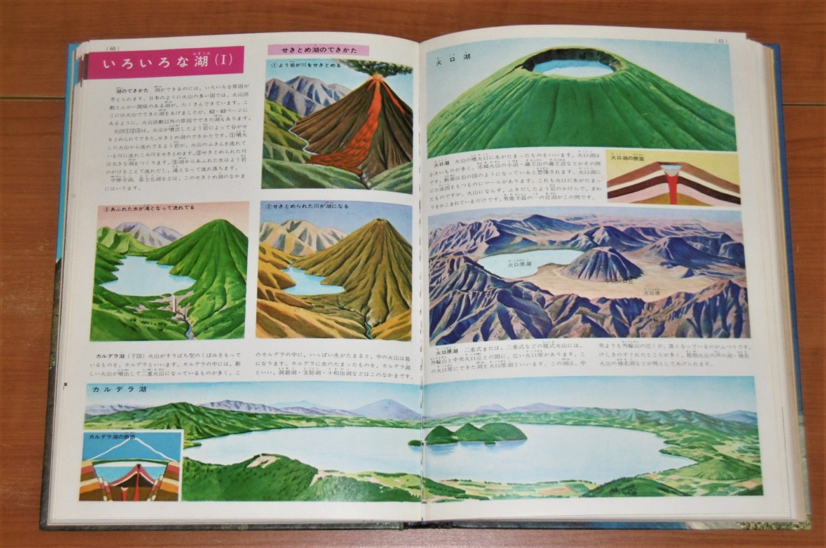 P1010261 (2)