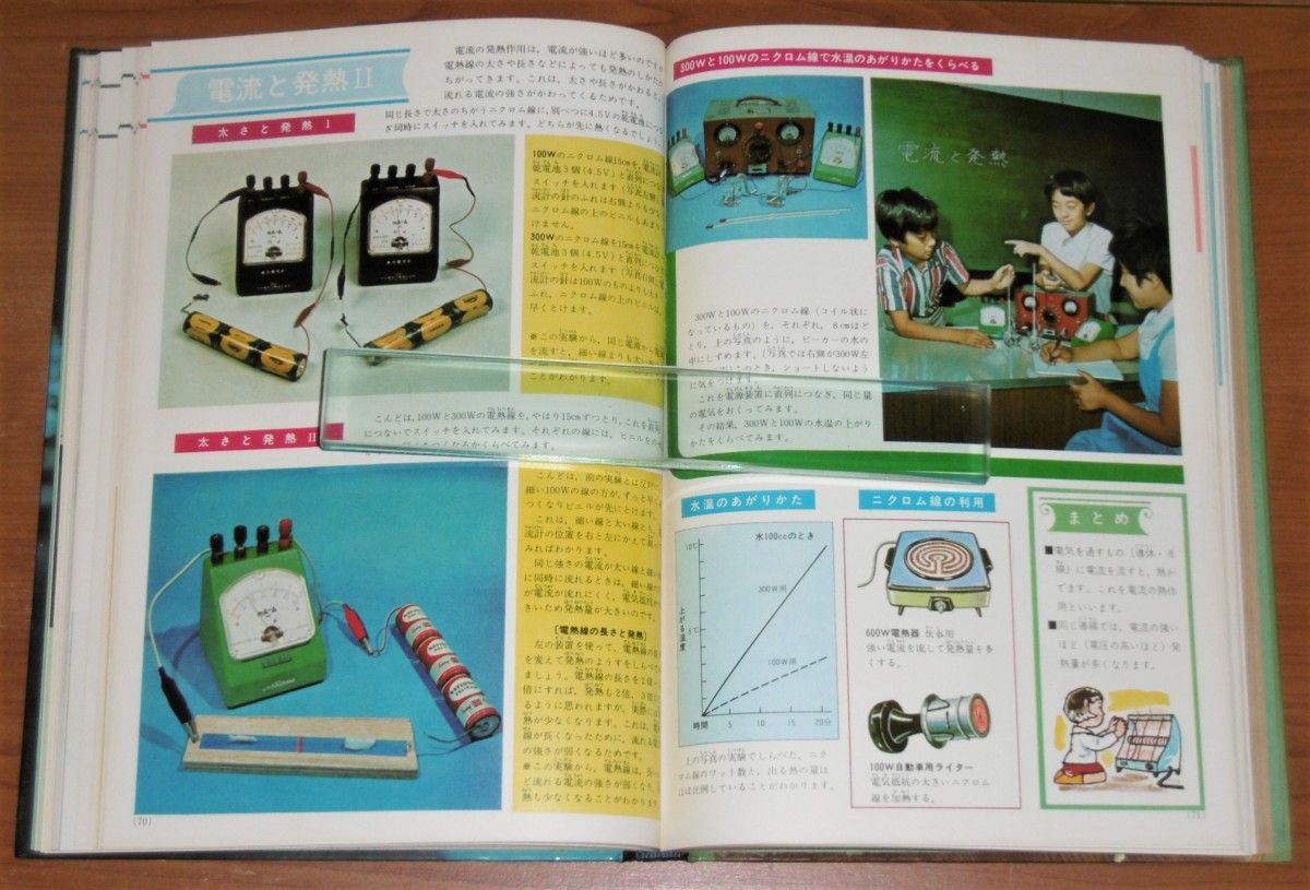 P1010265 (2)