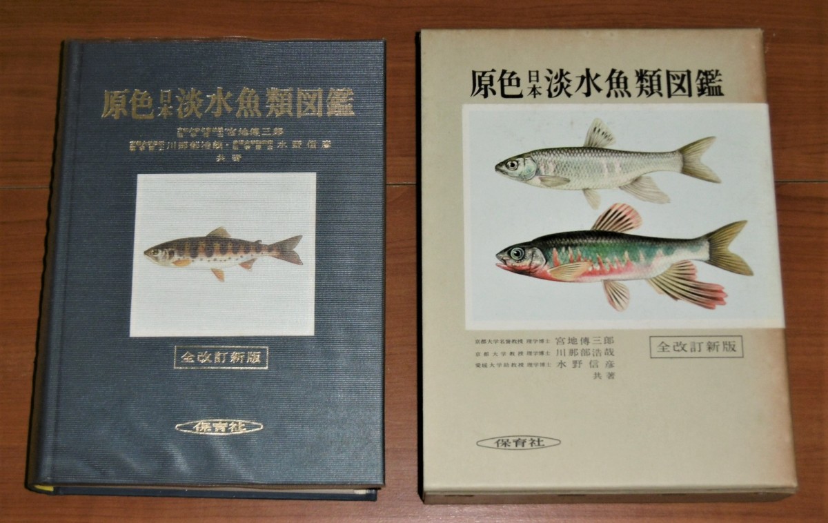 P1010298 (2)
