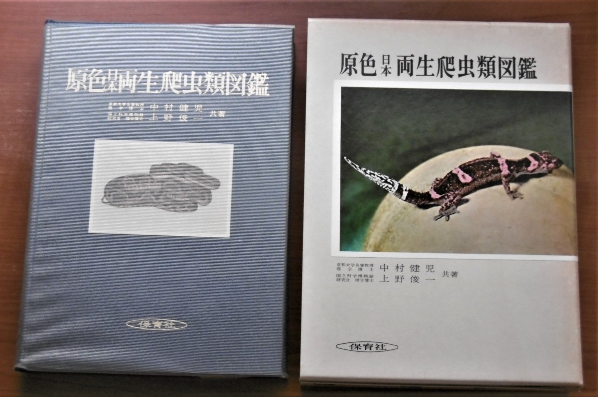 P1010313 (2)