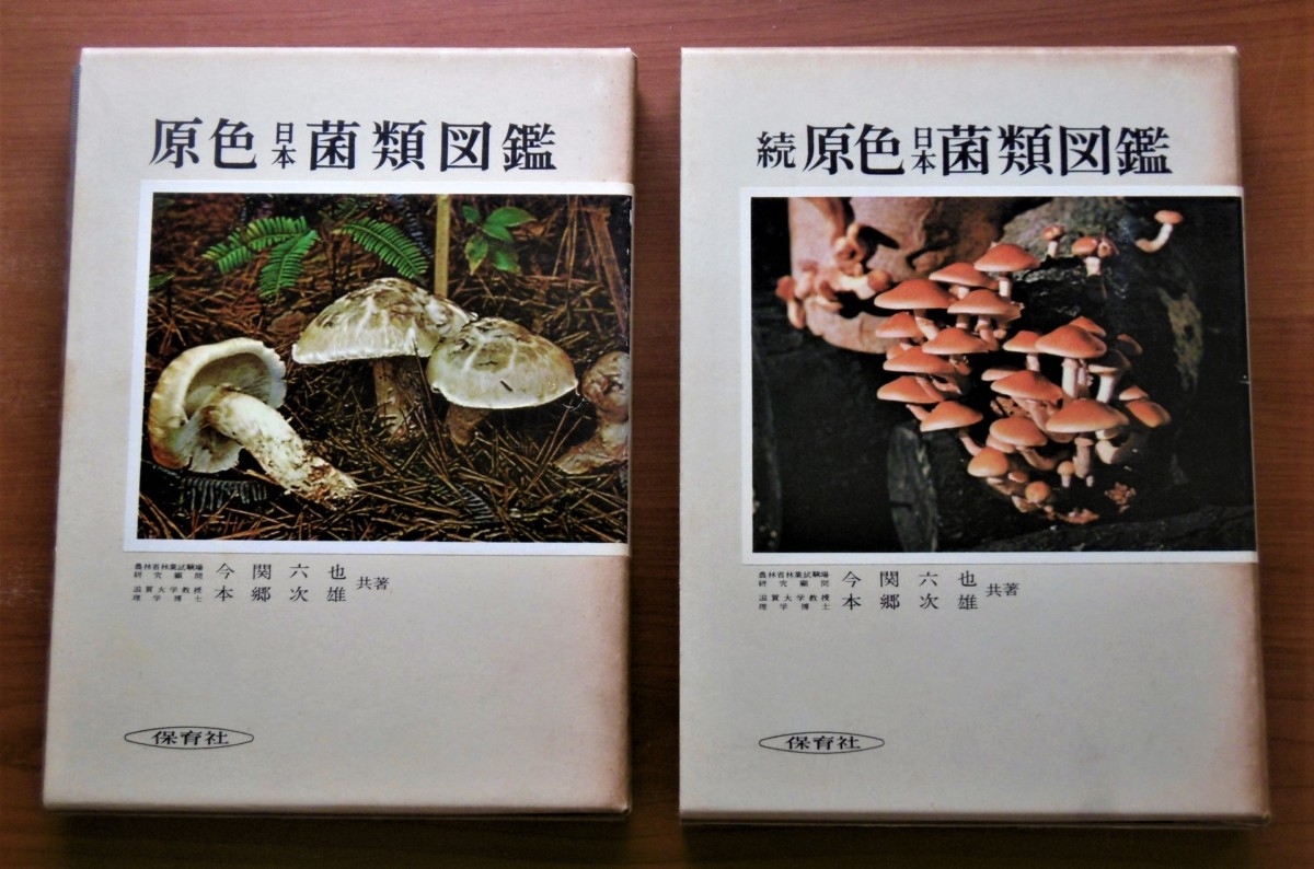 P1010339 (2)