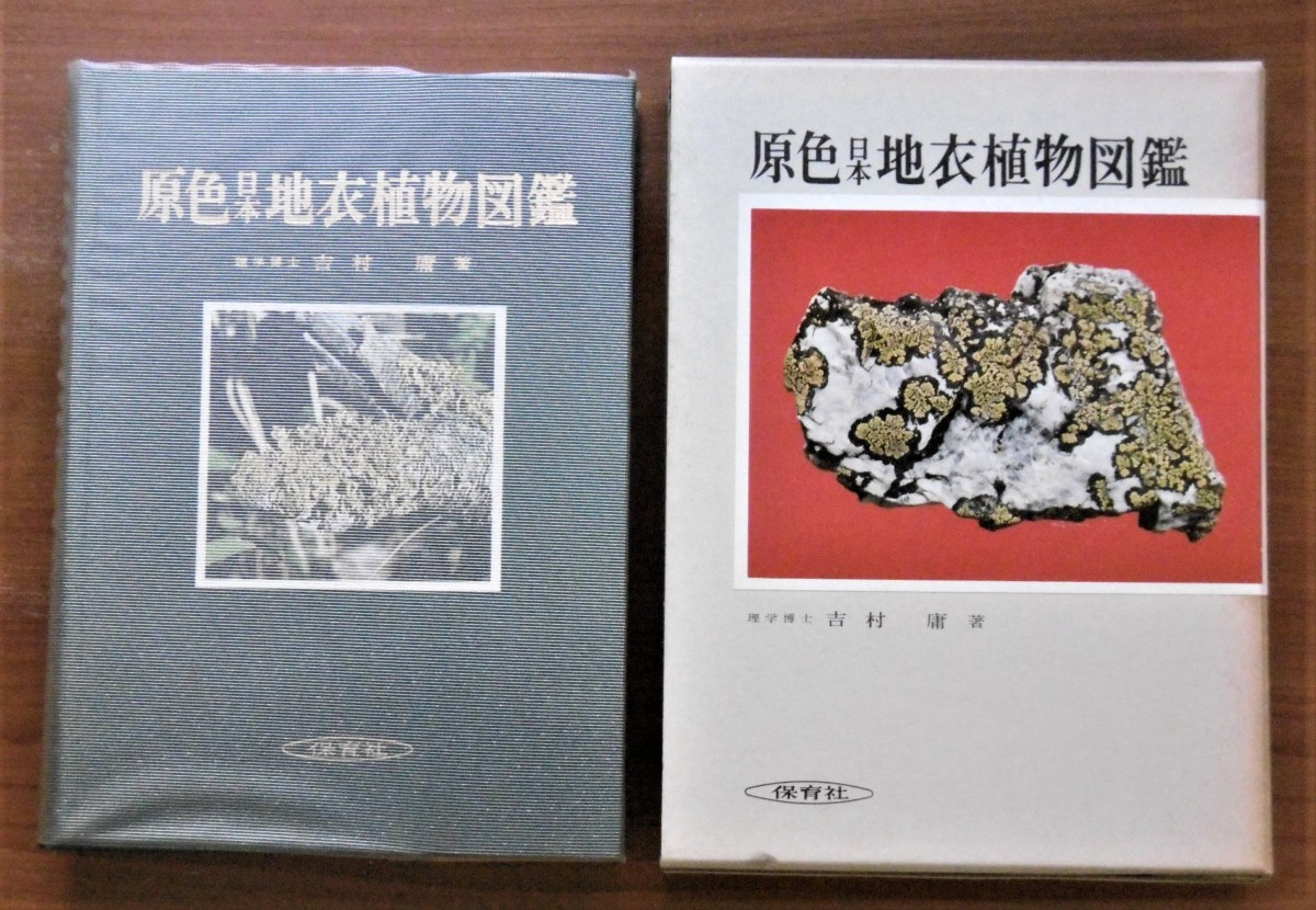 P1010364 (2)