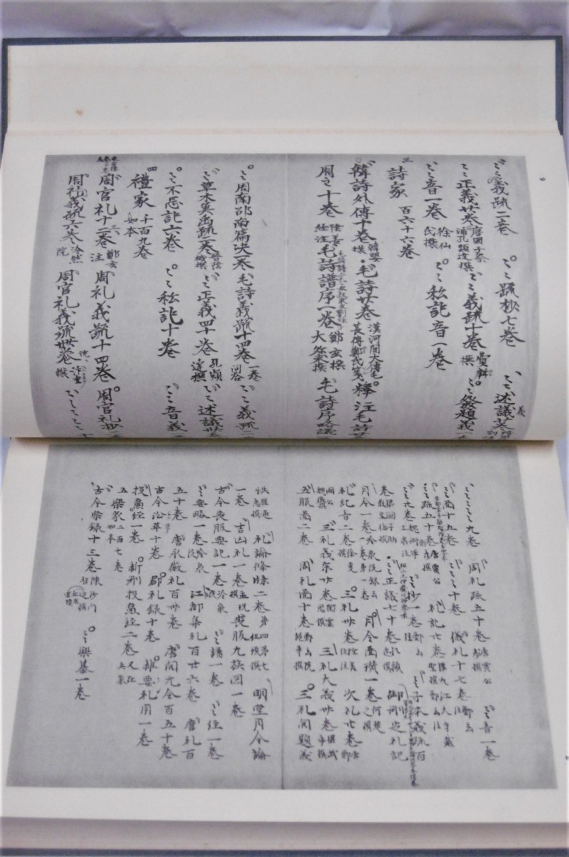 P1010687 (2)