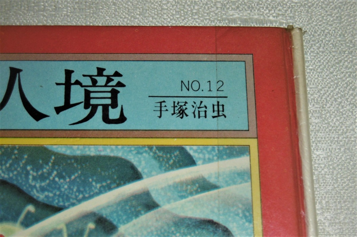 P1010698 (2)