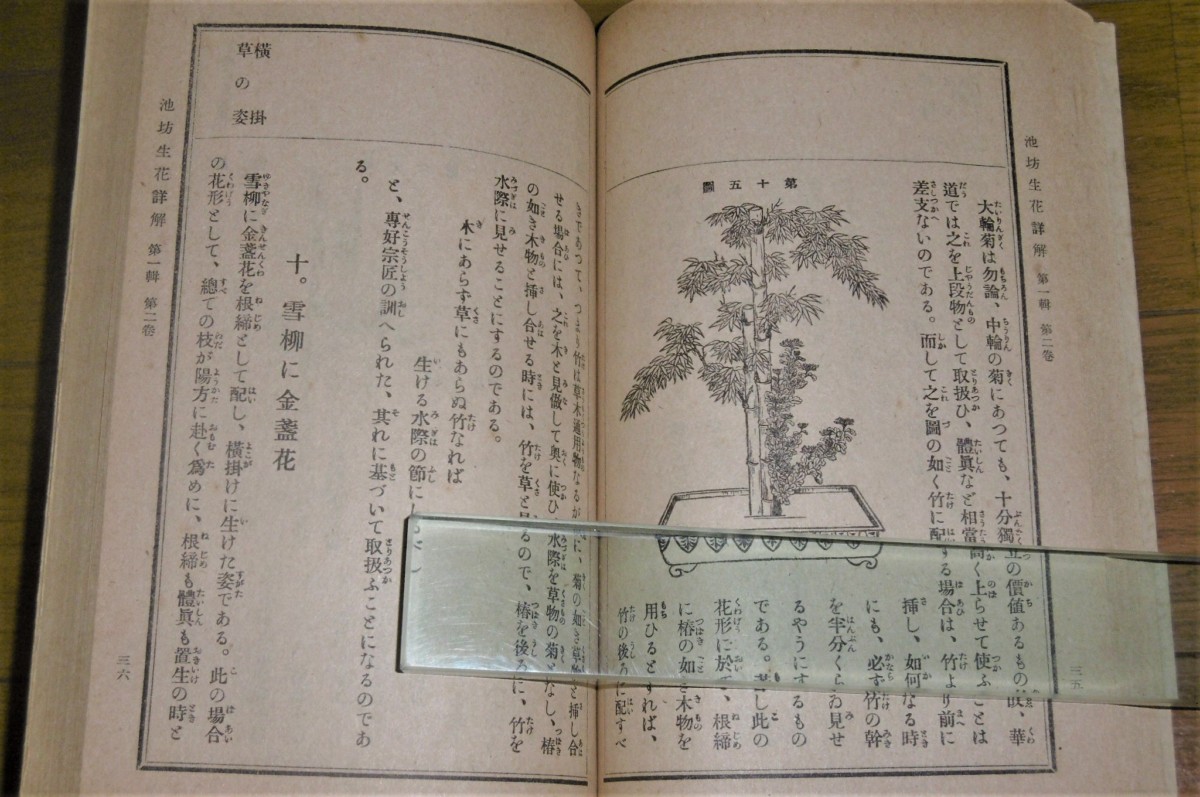 P1020925 (2)