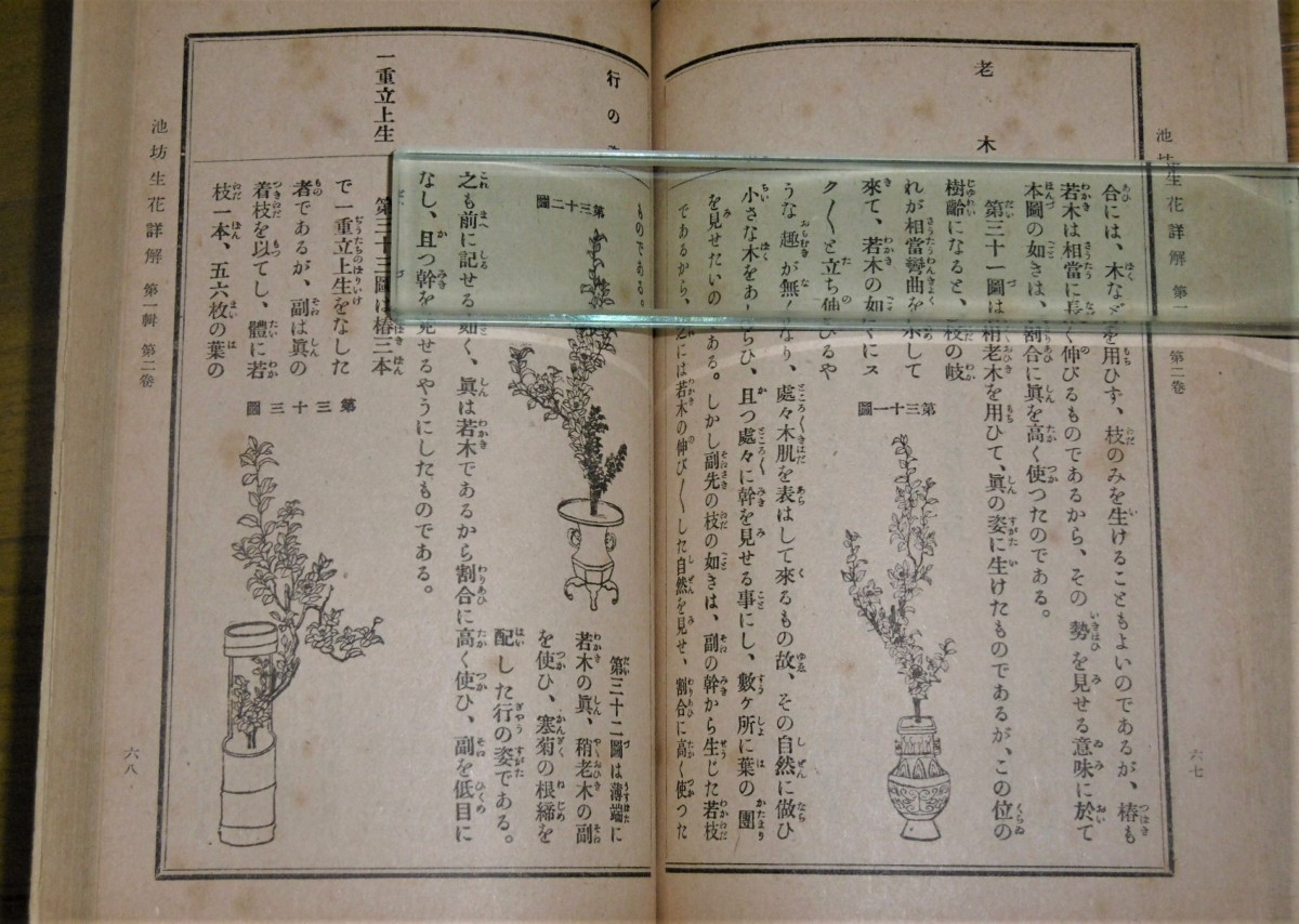 P1020926 (2)