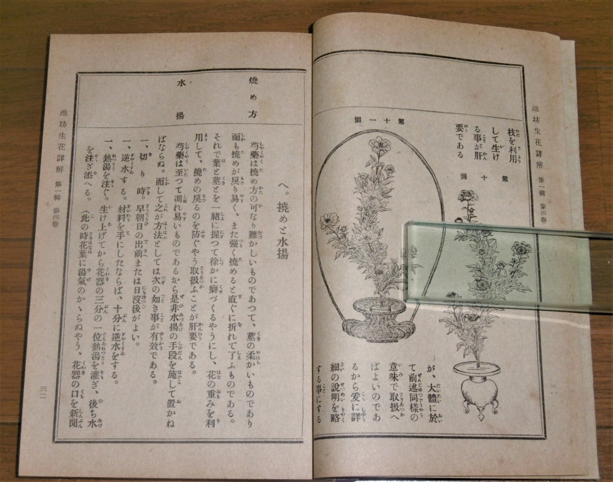 P1020927 (2)