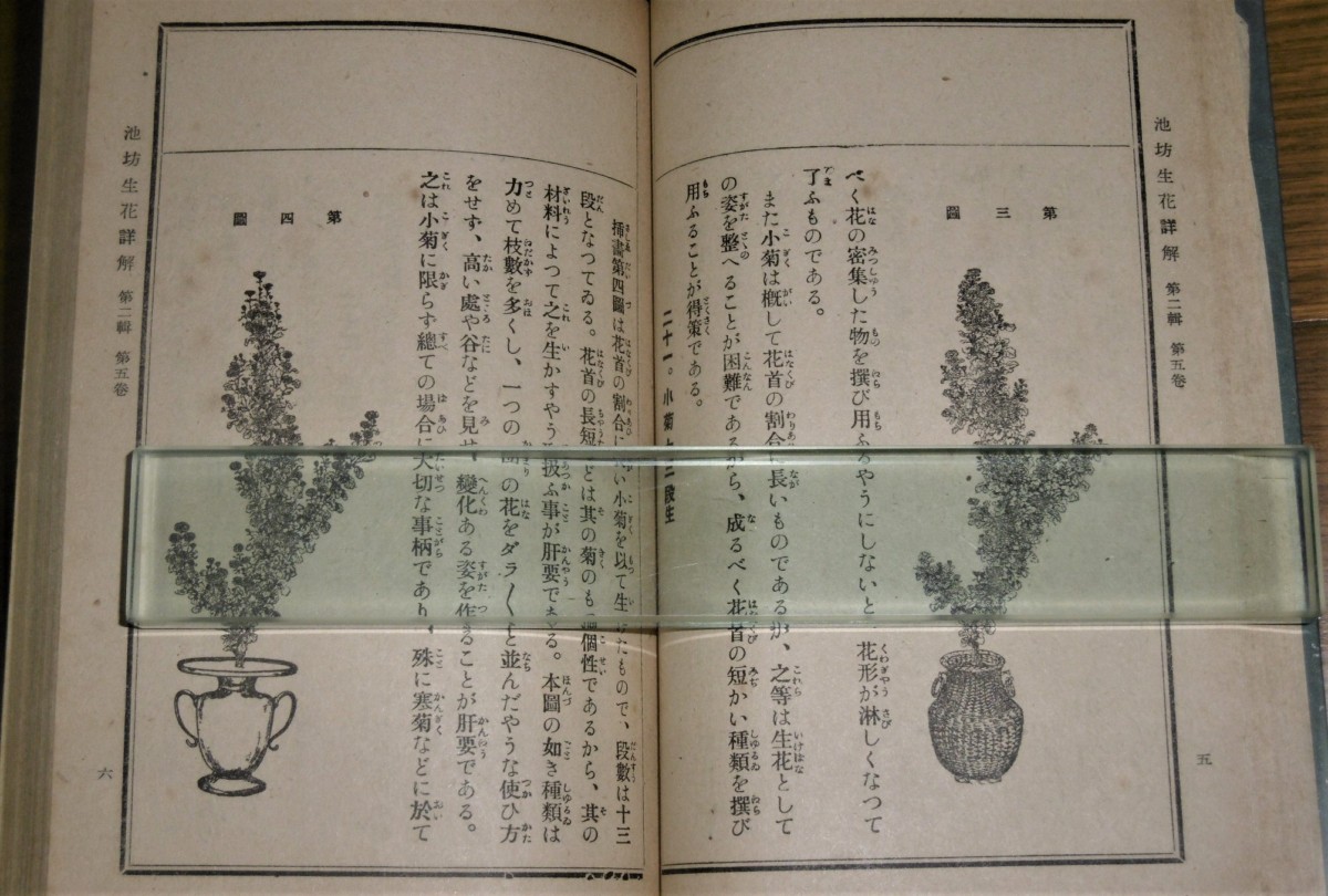 P1020932 (2)