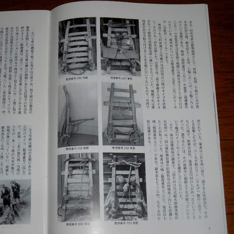 P1730584 (800x800)