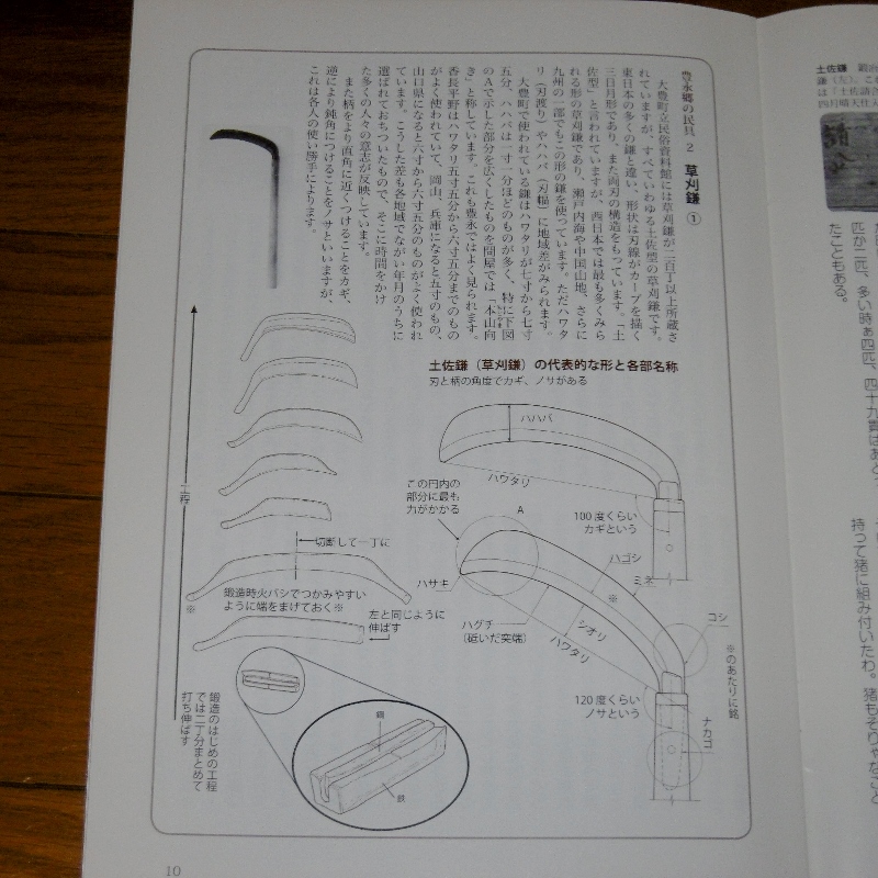 P1730590 (800x800)
