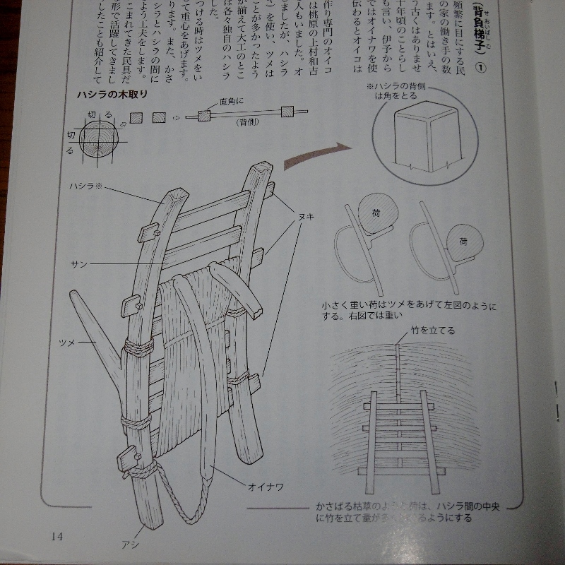 P1730591 (800x800)
