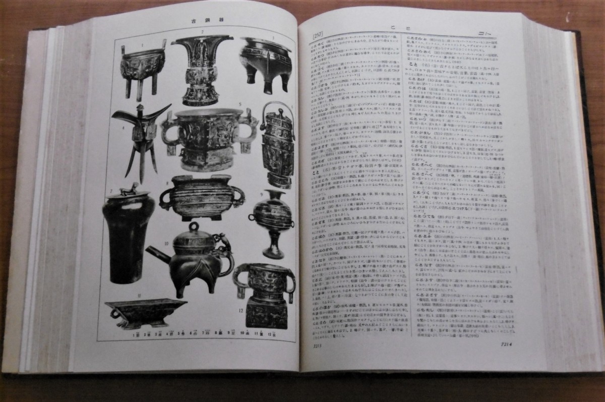 P1020363 (2)