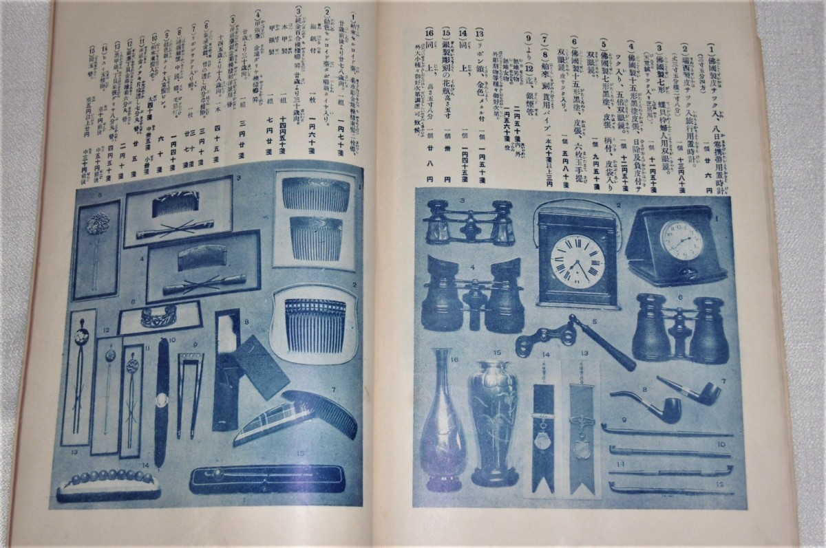 P1020453 (2)