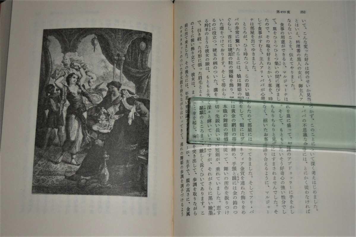 P1020664 (2)