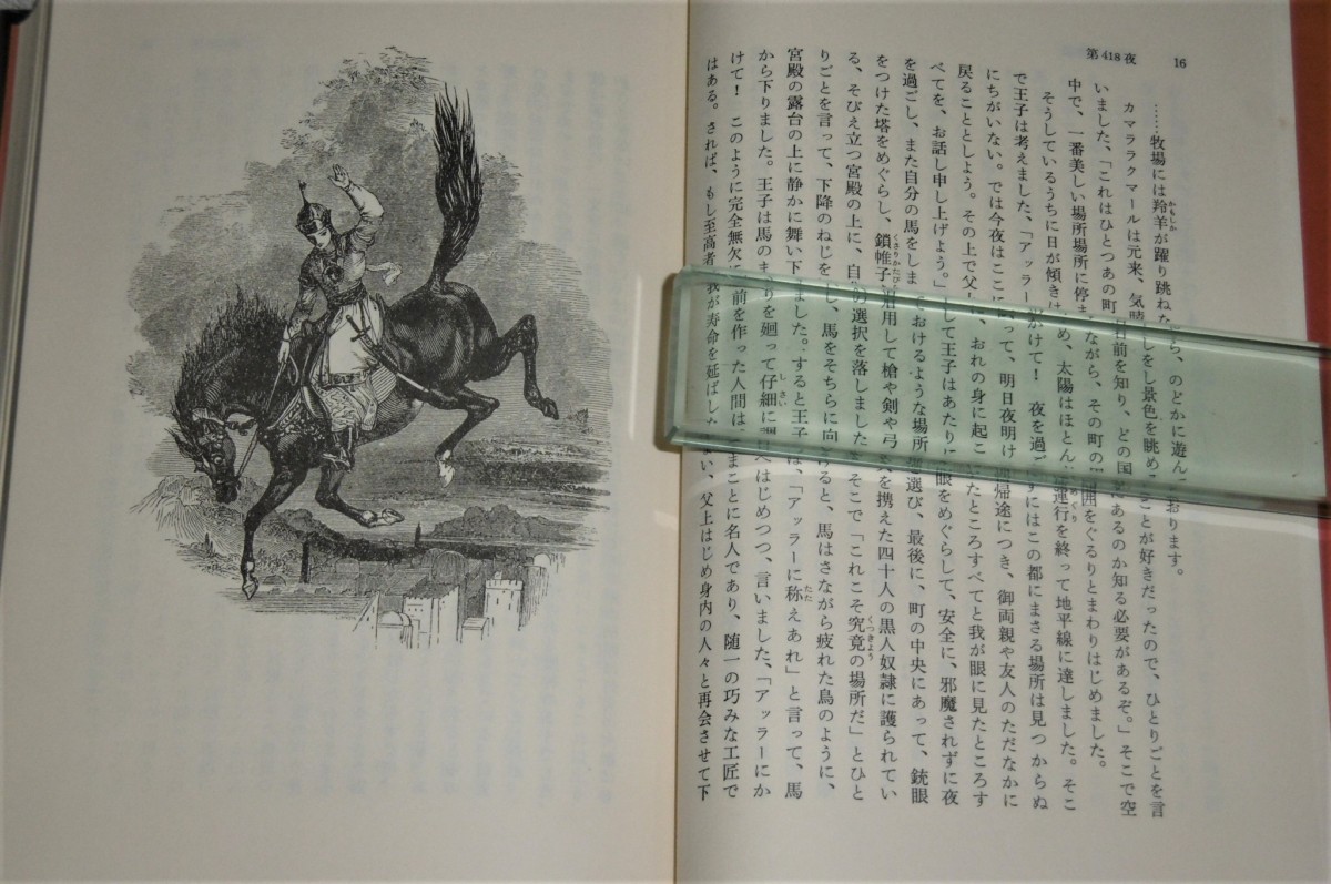 P1020666 (2)