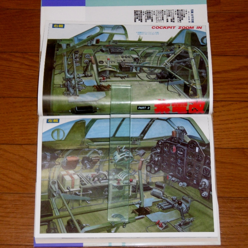 P1730174 (800x800)
