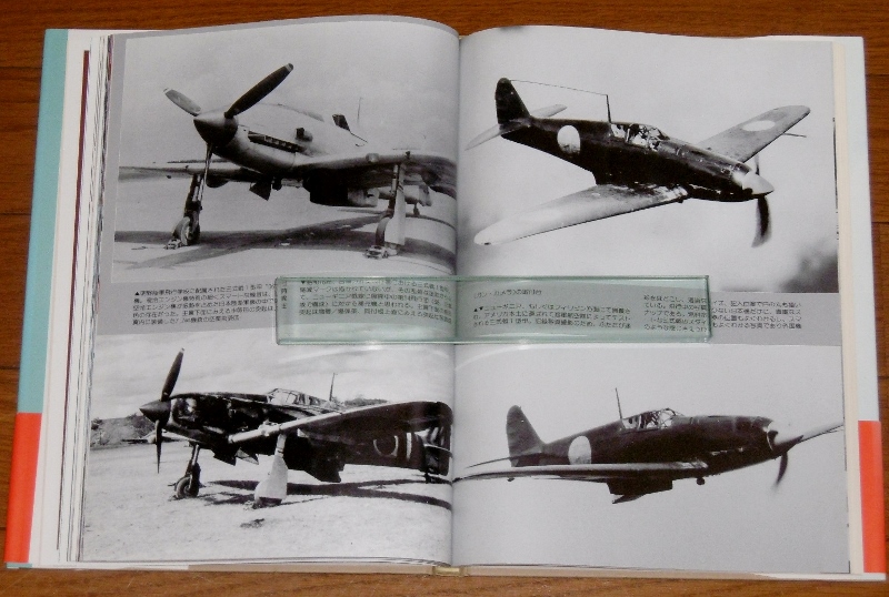 P1730176 (800x538)