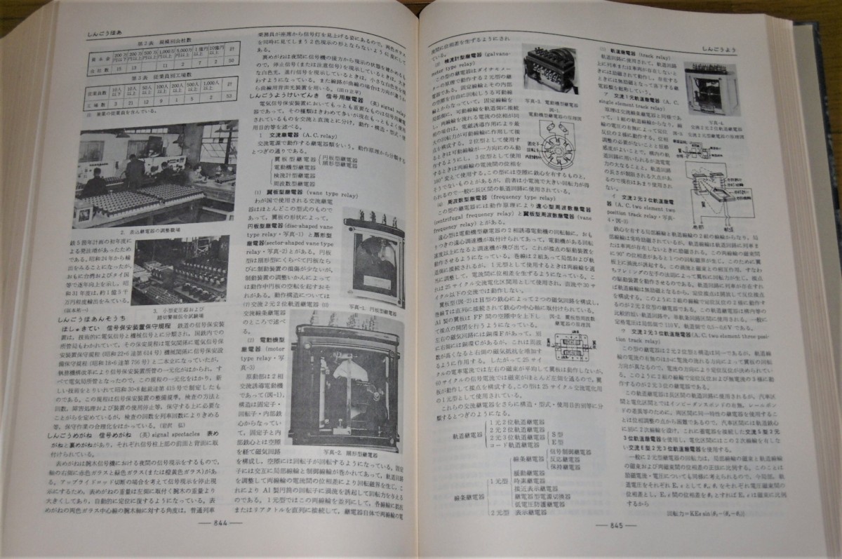 P1020999 (2)