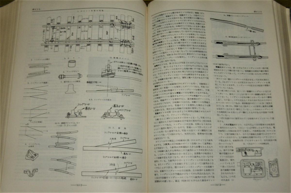 P1030003 (2)