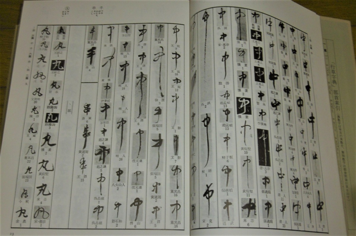 P1030629 (2)