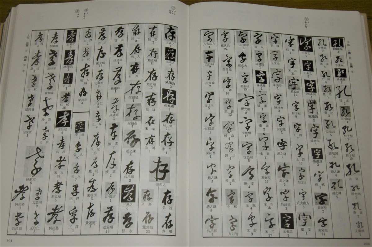 P1030631 (2)
