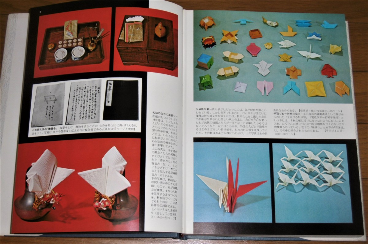 P1030648 (2)