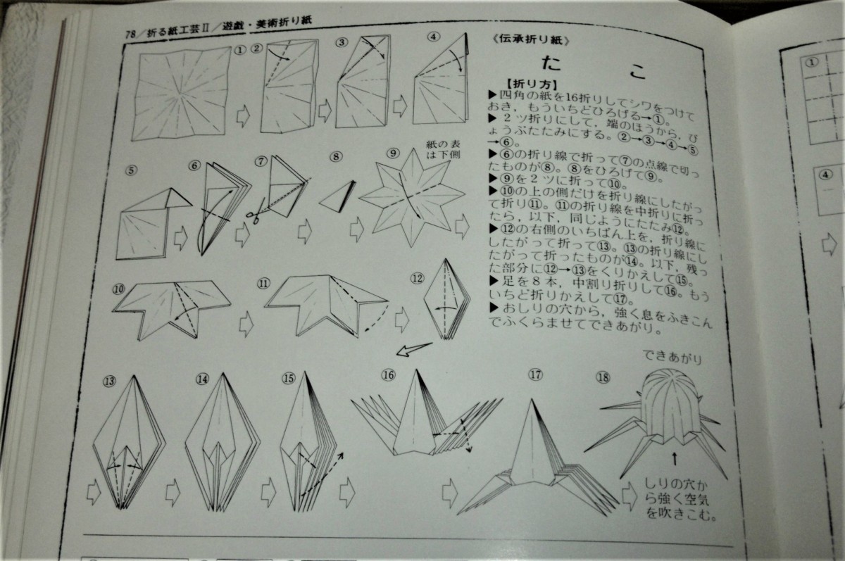 P1030655 (3)