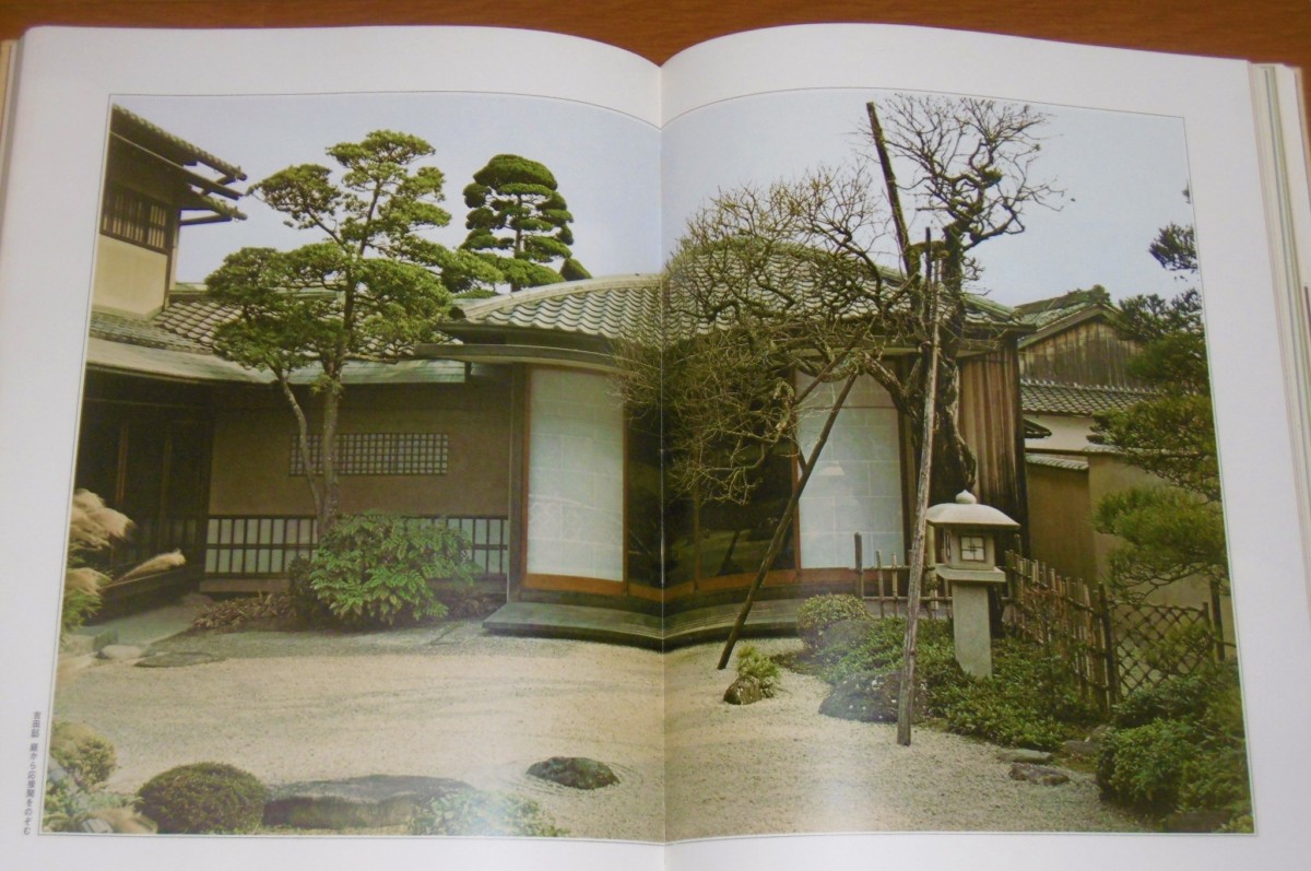 P1040045 (2)