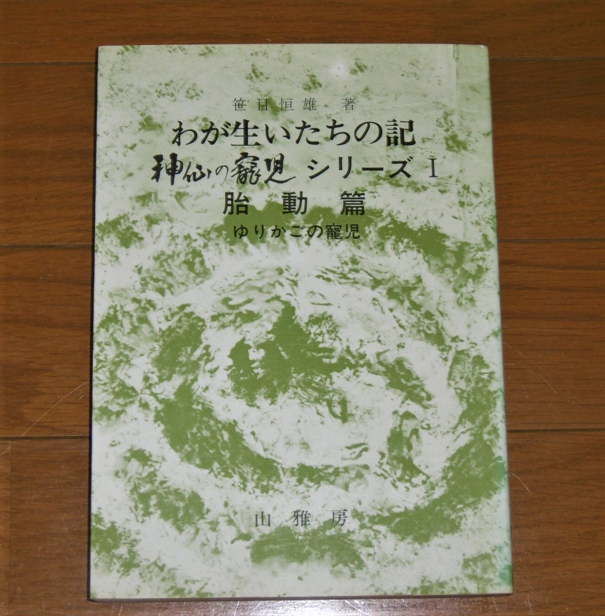 P1820025 (2)