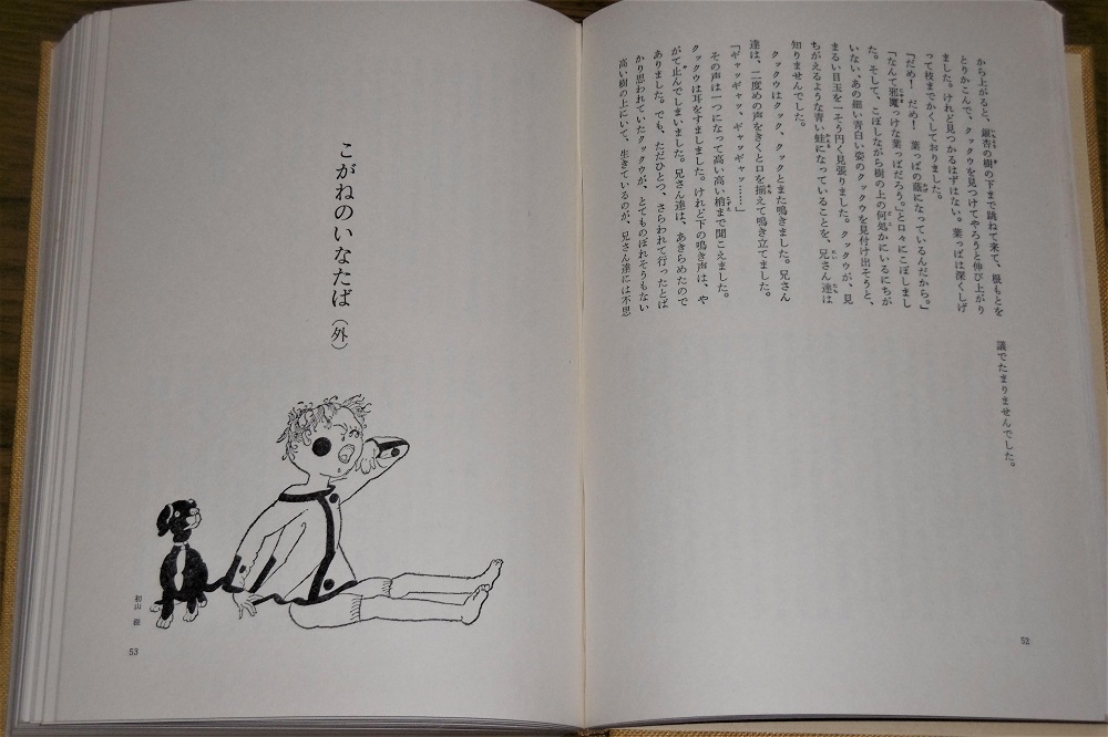 P1040147 (2)