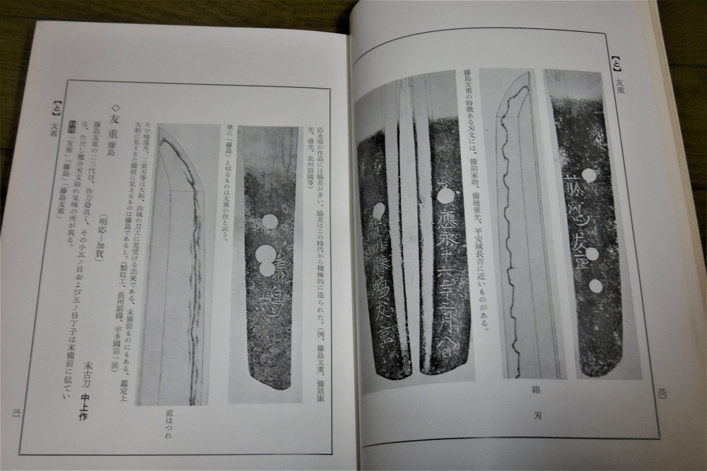 P1040161 (2)