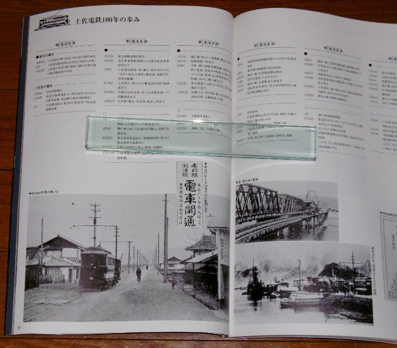 P1620036 (800x701)