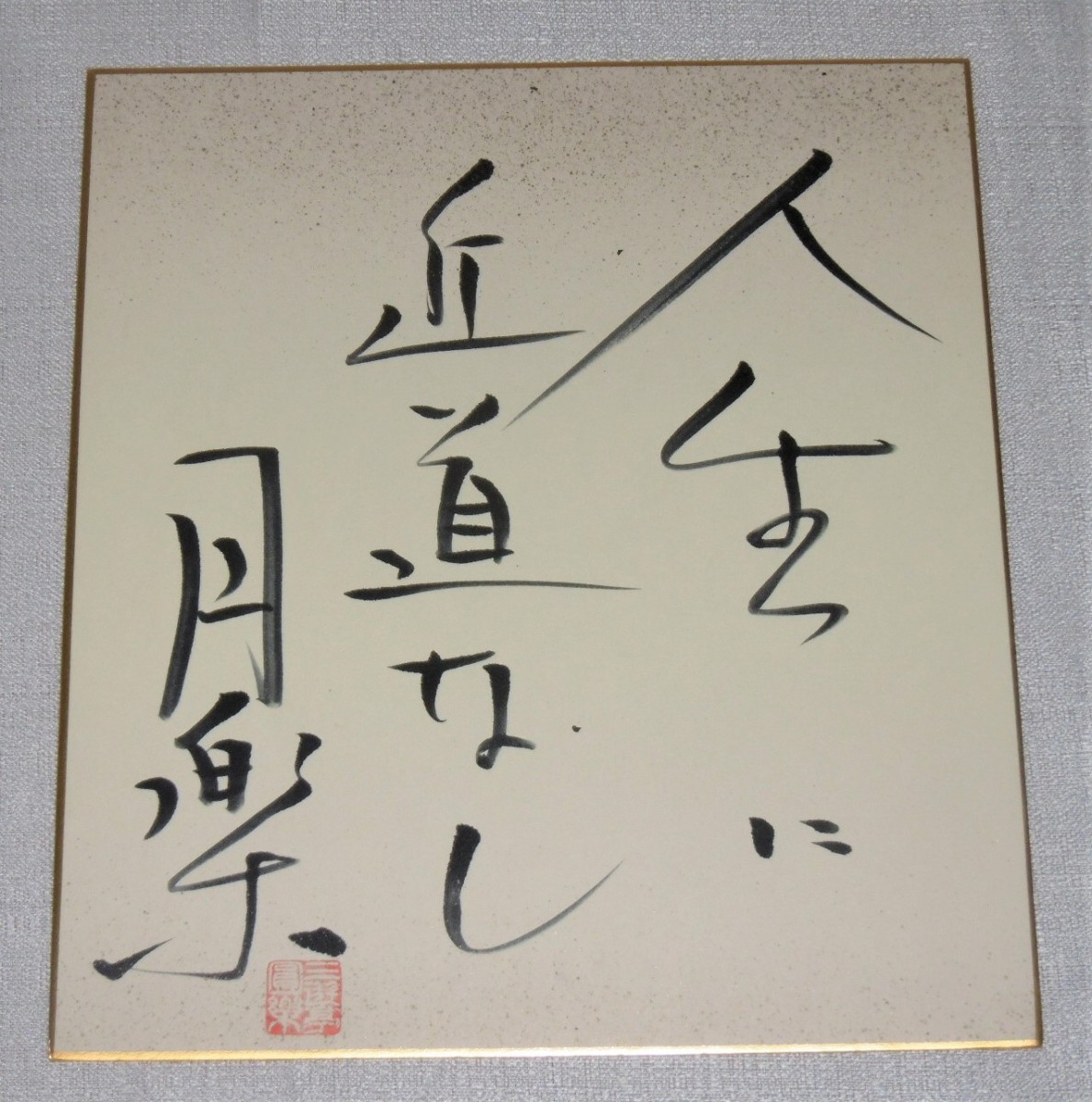 P1020749 (2)