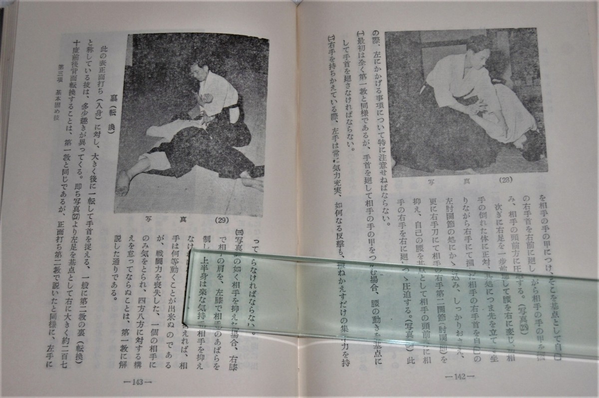 P1050139 (2)