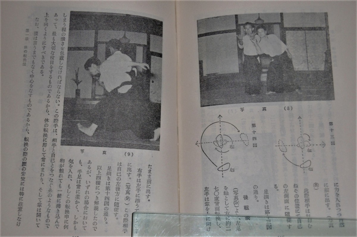 P1050140 (2)