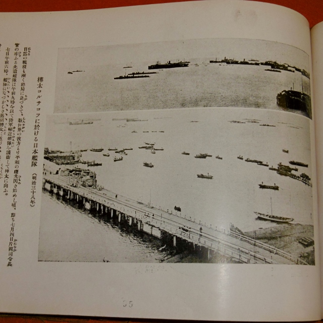 P1290665 (640x640)