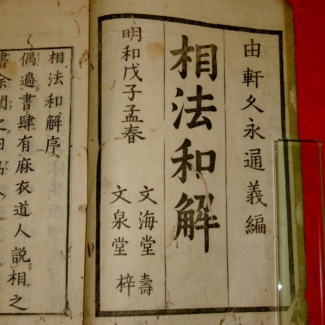 P1300997 (640x640)