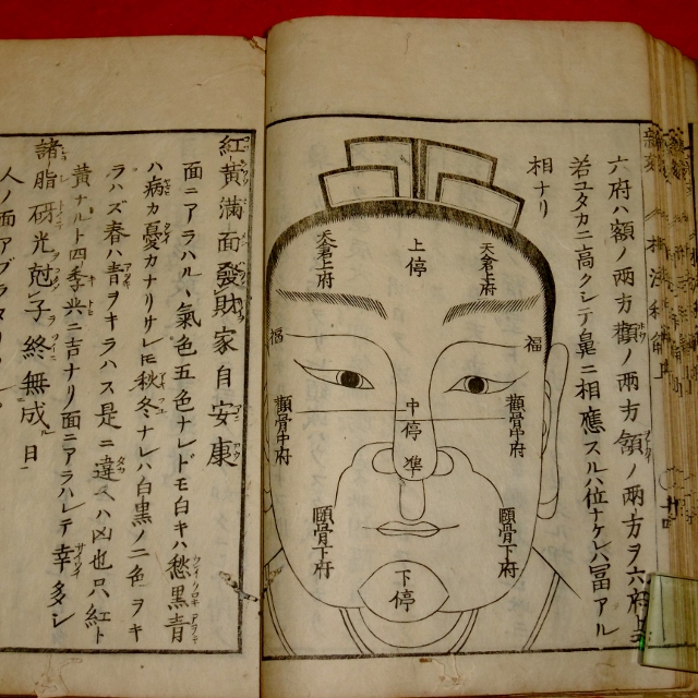 P1310019 (640x640)
