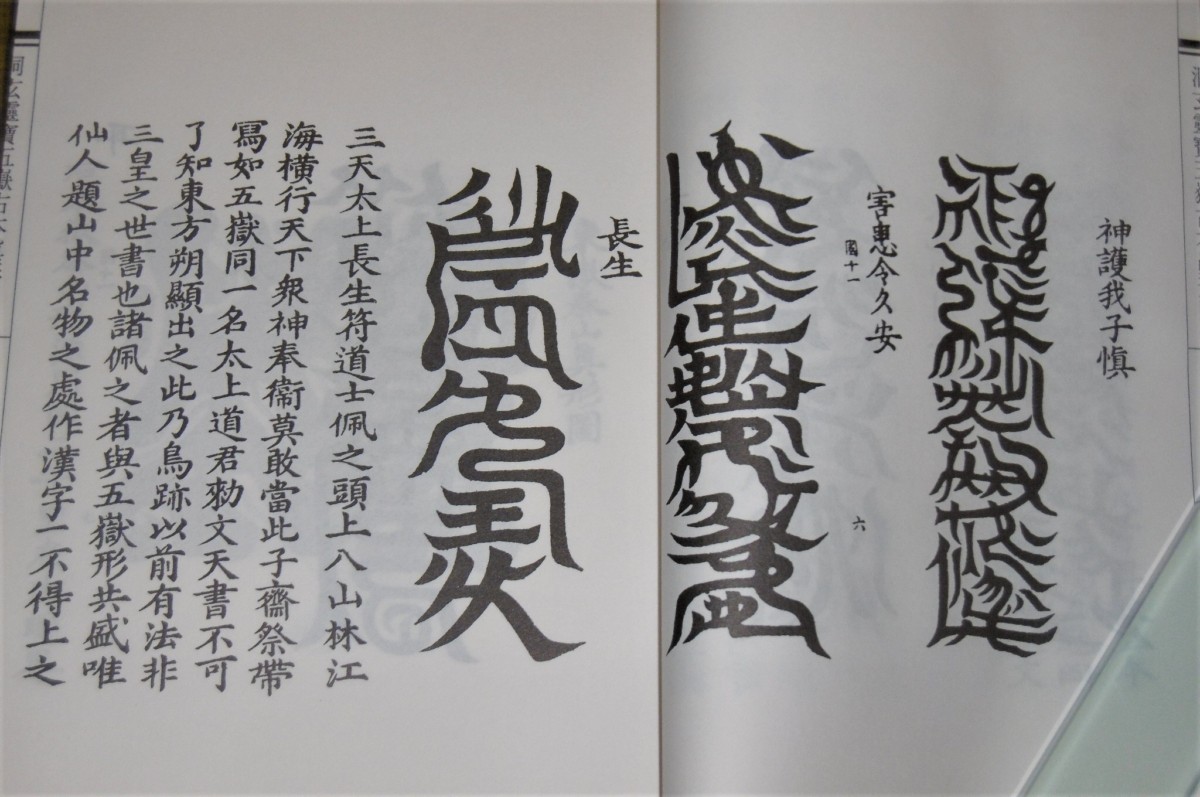 P1800936 (2)