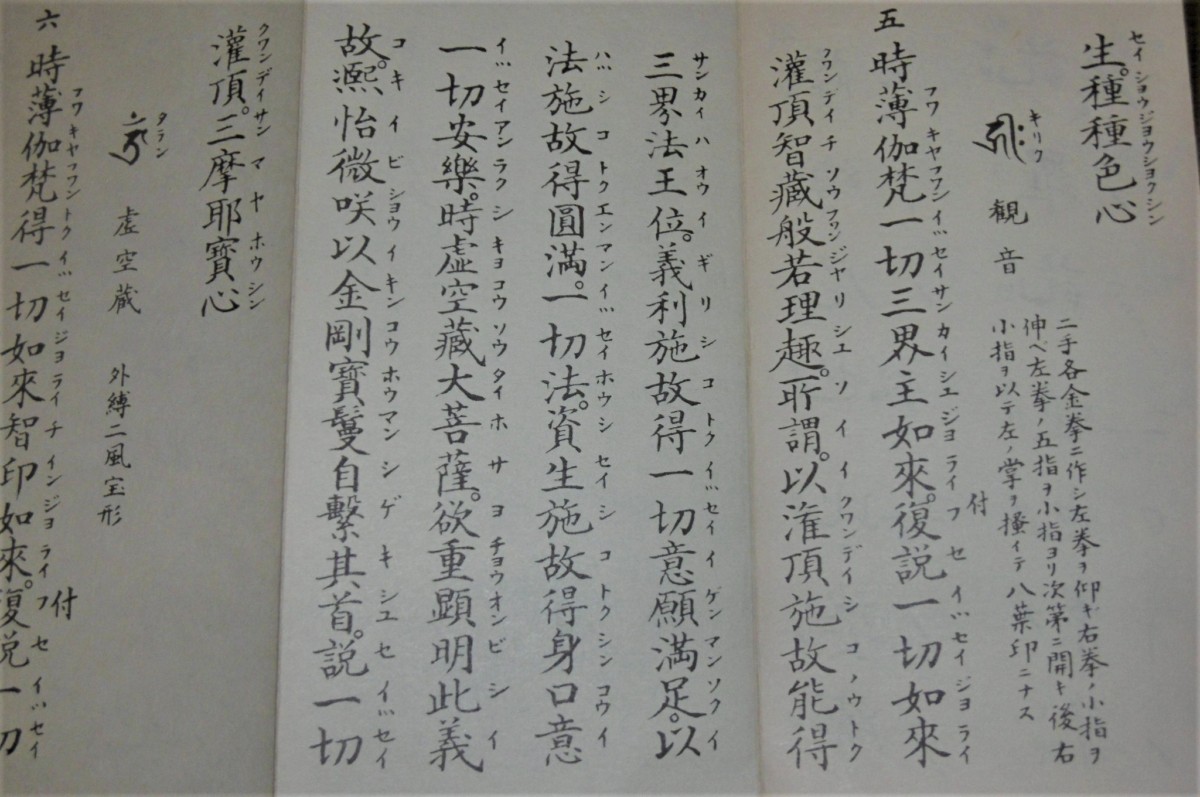 P1820606 (2)