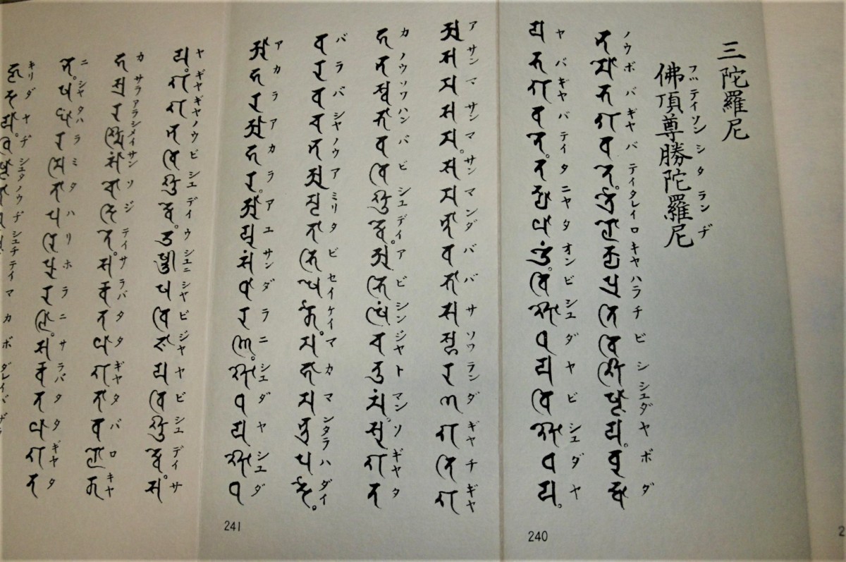 P1820622 (3)