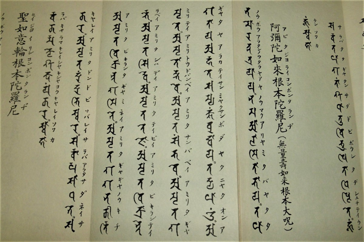 P1820624 (3)