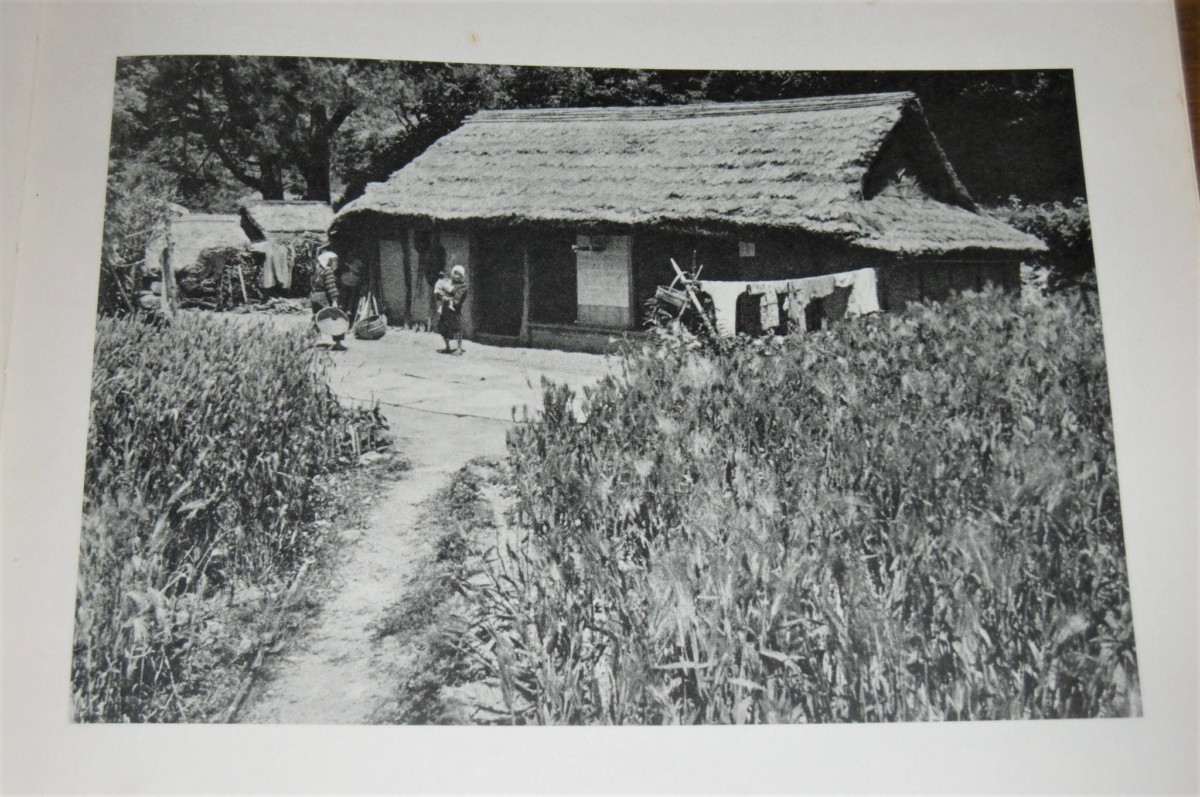 P1040504 (2)