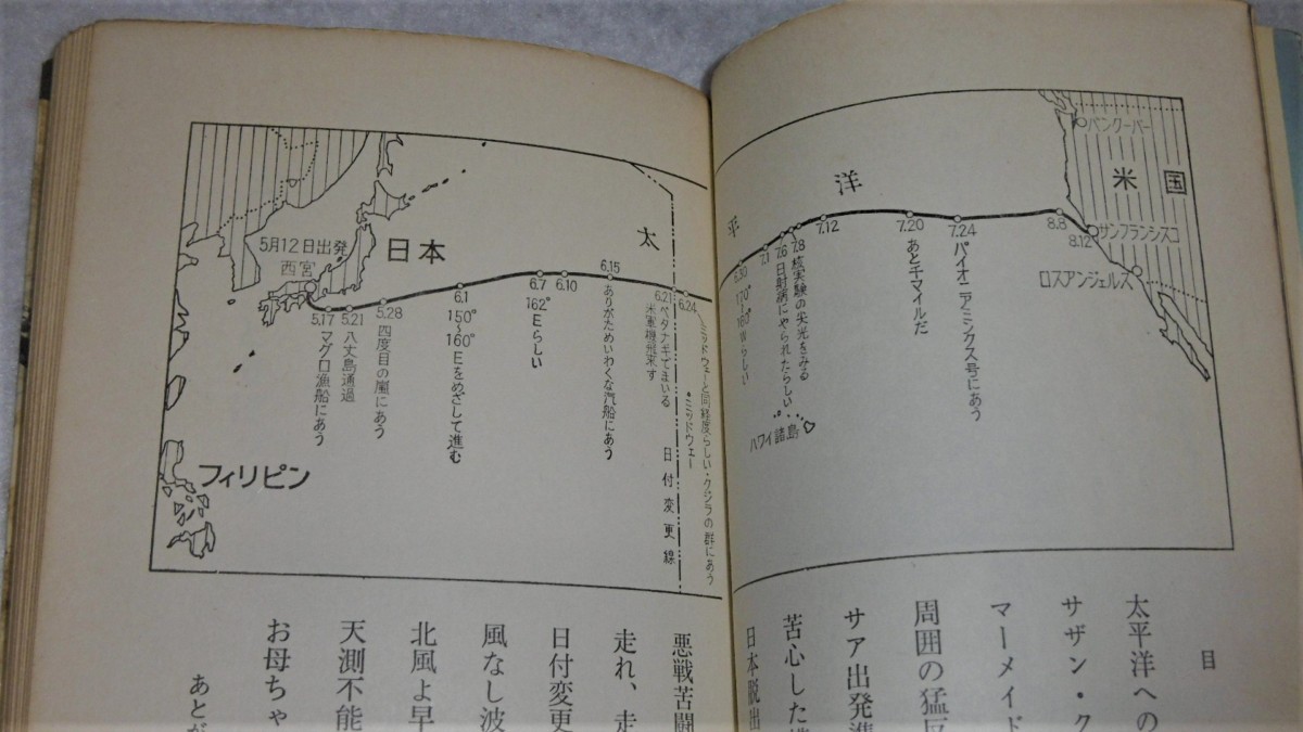 P1070982 (2)
