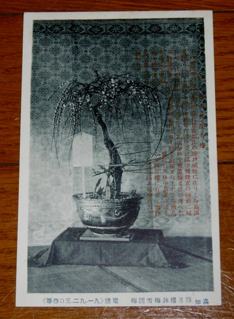 P1430705 (470x640)
