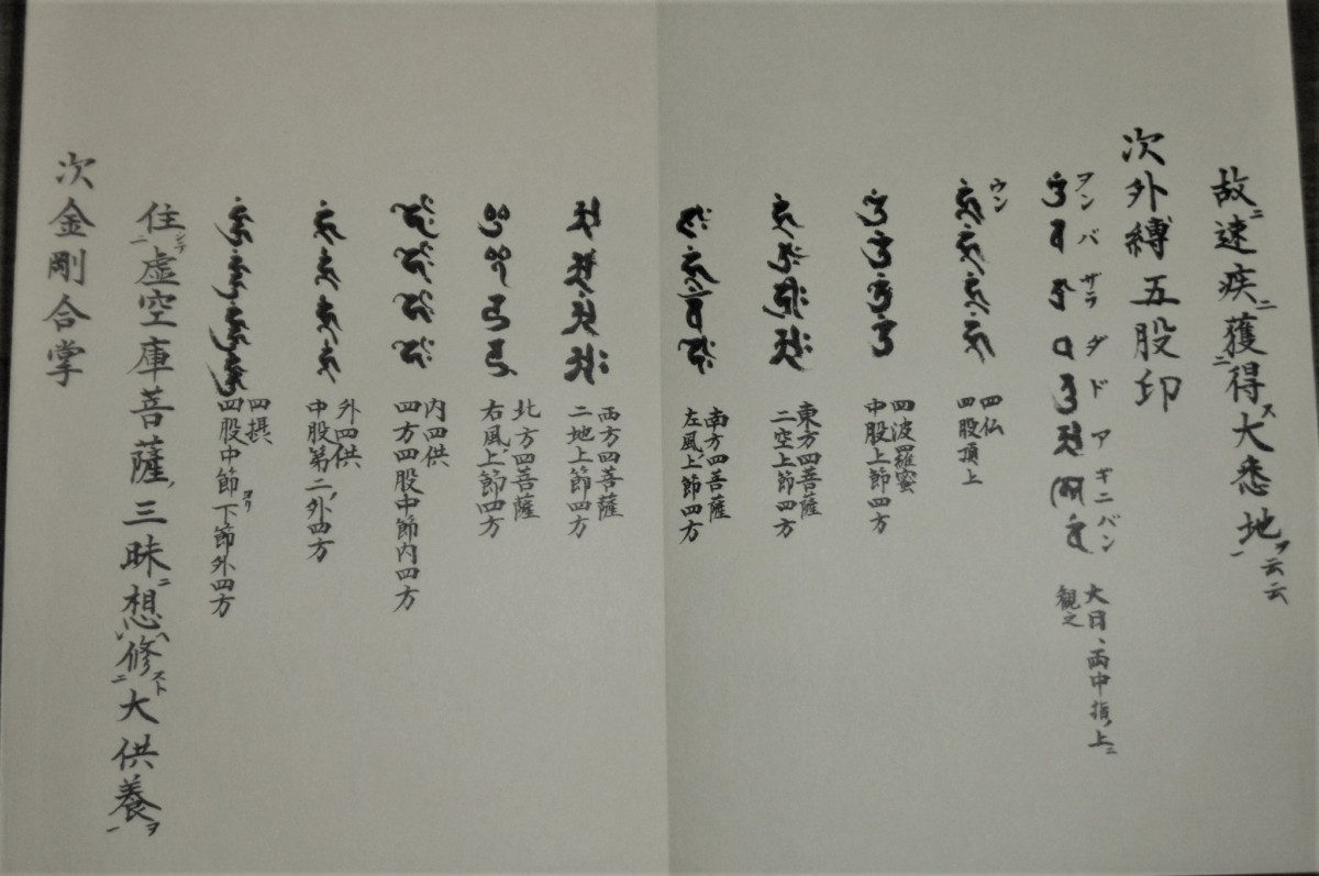 P1800915 (2)