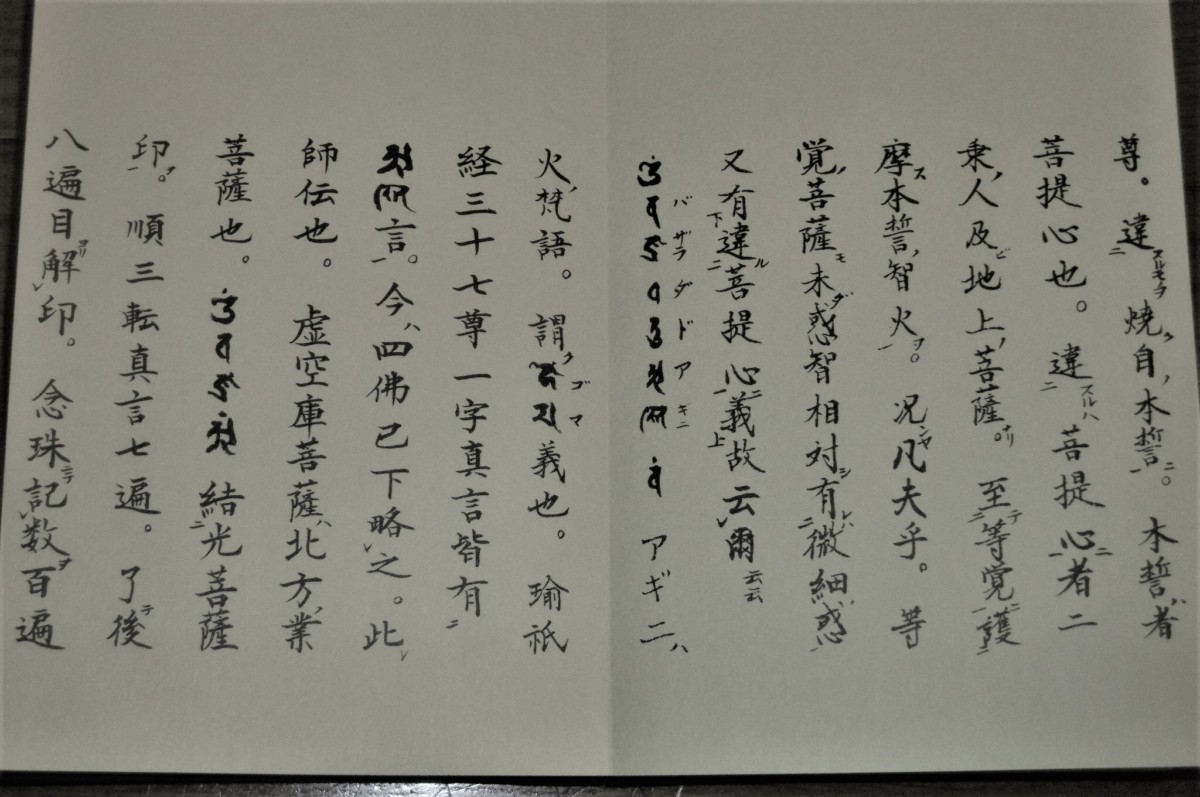 P1800916 (2)