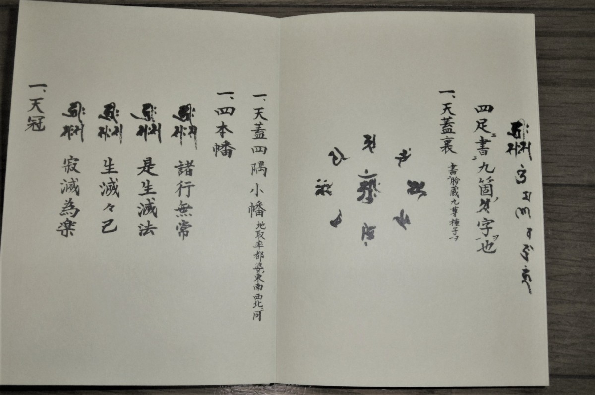 P1800921 (2)
